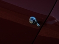 250GTO_075