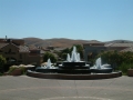 Blackhawk_243