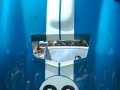 CobraDaytona_20