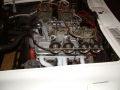 Amelia_Island_2003_0116