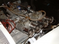 Amelia_Island_2003_0127