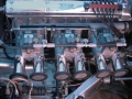 DType_11