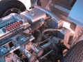 DType_25